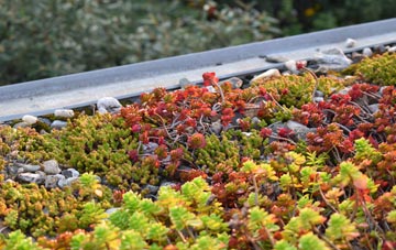 the cost of Low Etherley green roof installation