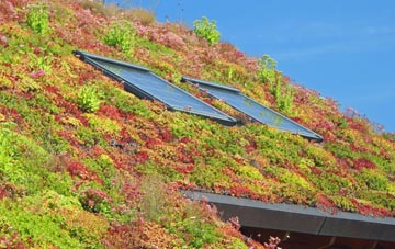 Low Etherley living roof systems