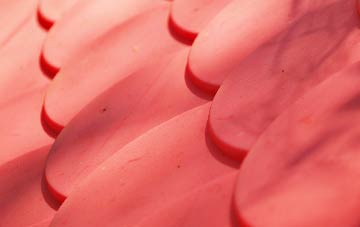 Low Etherley plastic roof costs