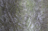 Low Etherley fibreglass roof work